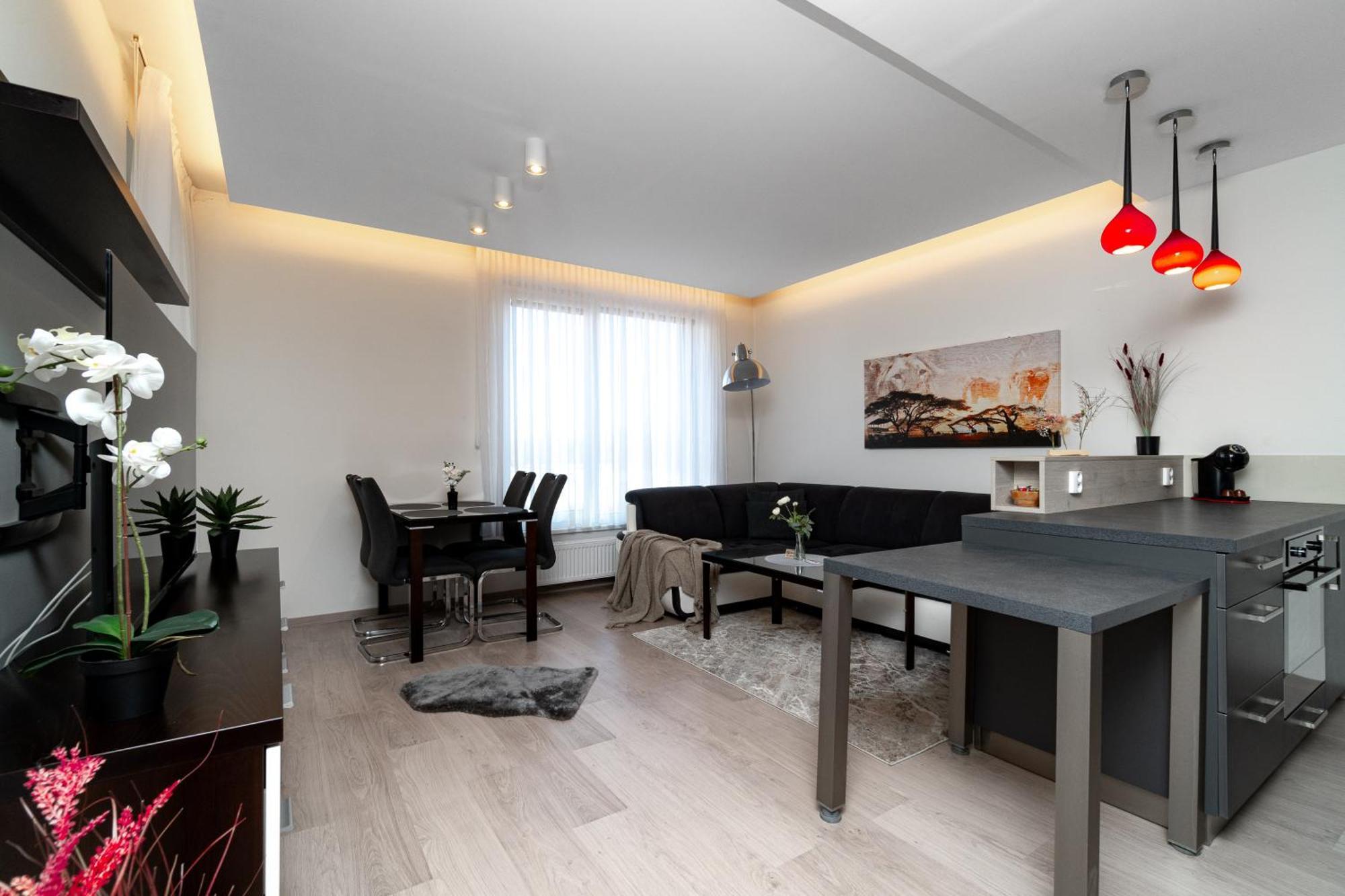 Bnb New Beautiful Apartment In The Center Of Ostrava With Option Garage Parking Экстерьер фото